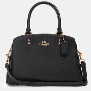 NEW COACH Womens Mini Lillie Carryall Purse